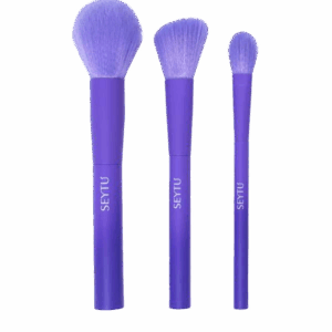 SET DE BROCHAS ROSTRO
